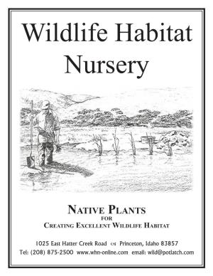 Native Plants for Creating Excellent Wildlife Habitat