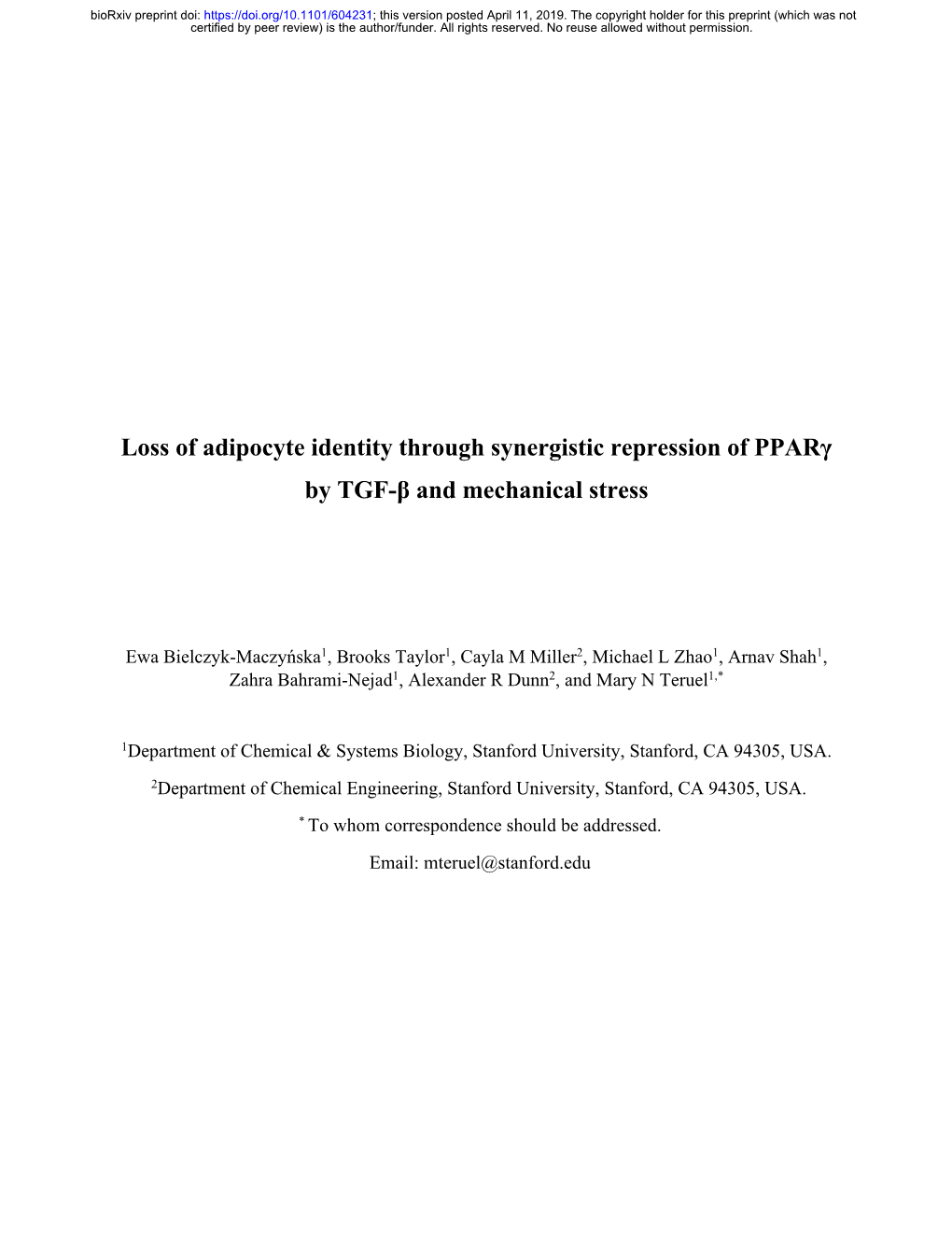 Loss of Adipocyte Identity Through Synergistic Repression of Pparγ by TGF-Β and Mechanical Stress