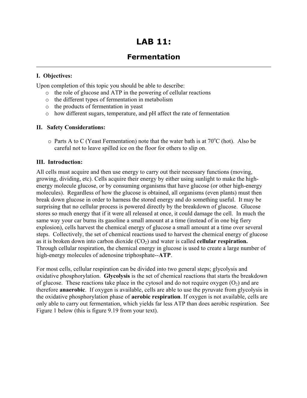 Lab 11: Fermentation