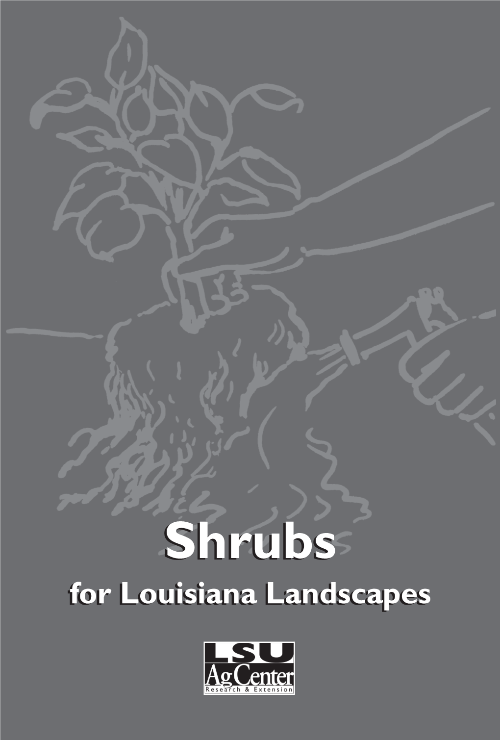 Shrubs Shrubs