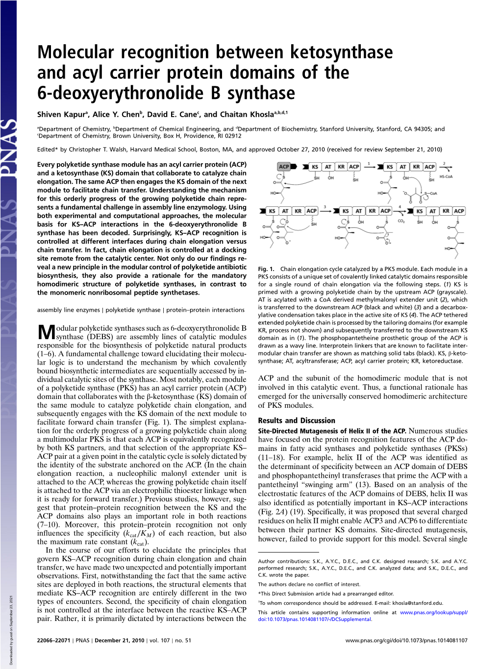 Molecular Recognition Between Ketosynthase and Acyl Carrier Protein Domains of the 6-Deoxyerythronolide B Synthase