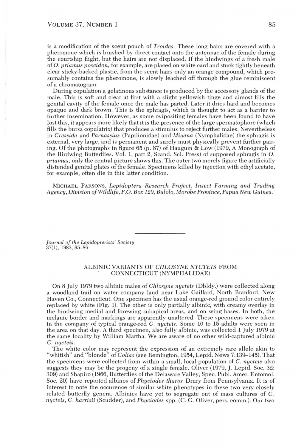 Albinic Variants of Chlosyne Nycteis from Connecticut (Nymphalidae)