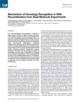 Mechanism of Homology Recognition in DNA Recombination from Dual-Molecule Experiments