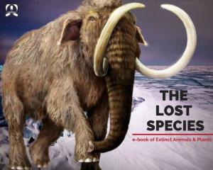 THE LOST SPECIES E-Book of Extinct Animals & Plants This E-Book Portrays Remarkable Animals and Plants That Have Been Lost Forever During the Geological Past