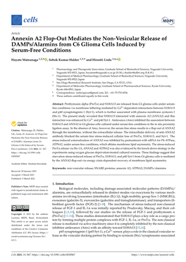 Annexin A2 Flop-Out Mediates the Non-Vesicular Release of Damps/Alarmins from C6 Glioma Cells Induced by Serum-Free Conditions