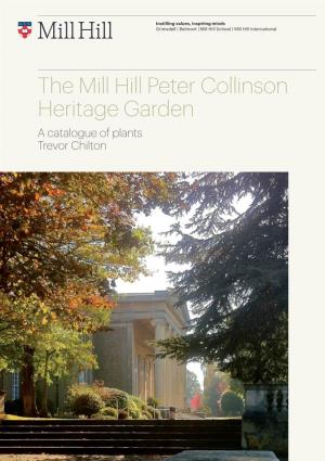 The Mill Hill Peter Collinson Heritage Garden