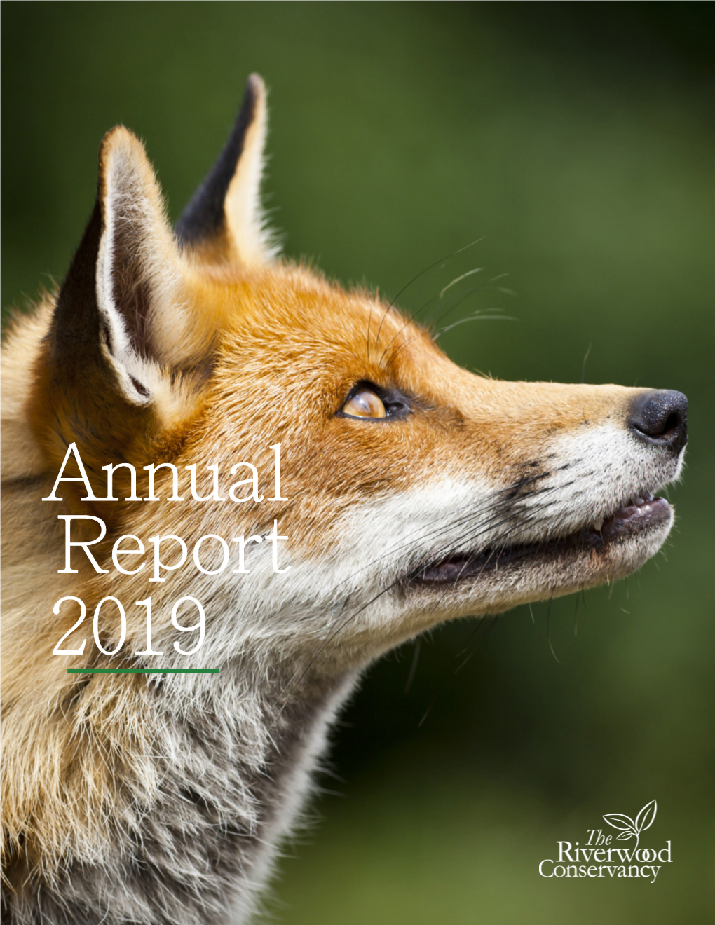 Annual Report 2019 @Yourriverwood Keeping the Natural World in Focus