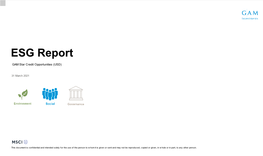 ESG Report Fund Name GAM Star Credit Opportunities (USD)