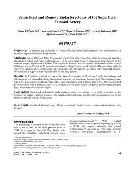 Semiclosed and Remote Endarterectomy of the Superficial Femoral Artery