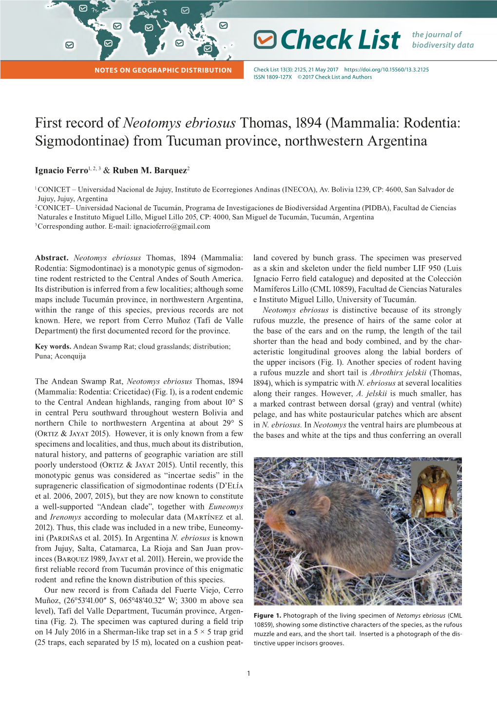 First Record of Neotomys Ebriosus Thomas, 1894 (Mammalia: Rodentia: Sigmodontinae) from Tucuman Province, Northwestern Argentina