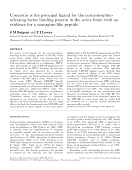 Urocortin Is the Principal Ligand for the Corticotrophin- Releasing Factor Binding Protein in the Ovine Brain with No Evidence for a Sauvagine-Like Peptide