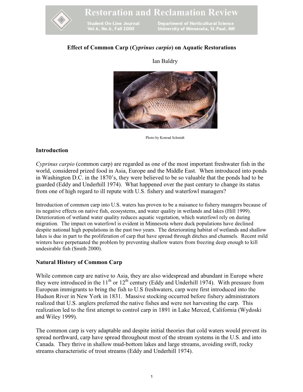 Effect of Common Carp (Cyprinus Carpio) on Aquatic Restorations Ian