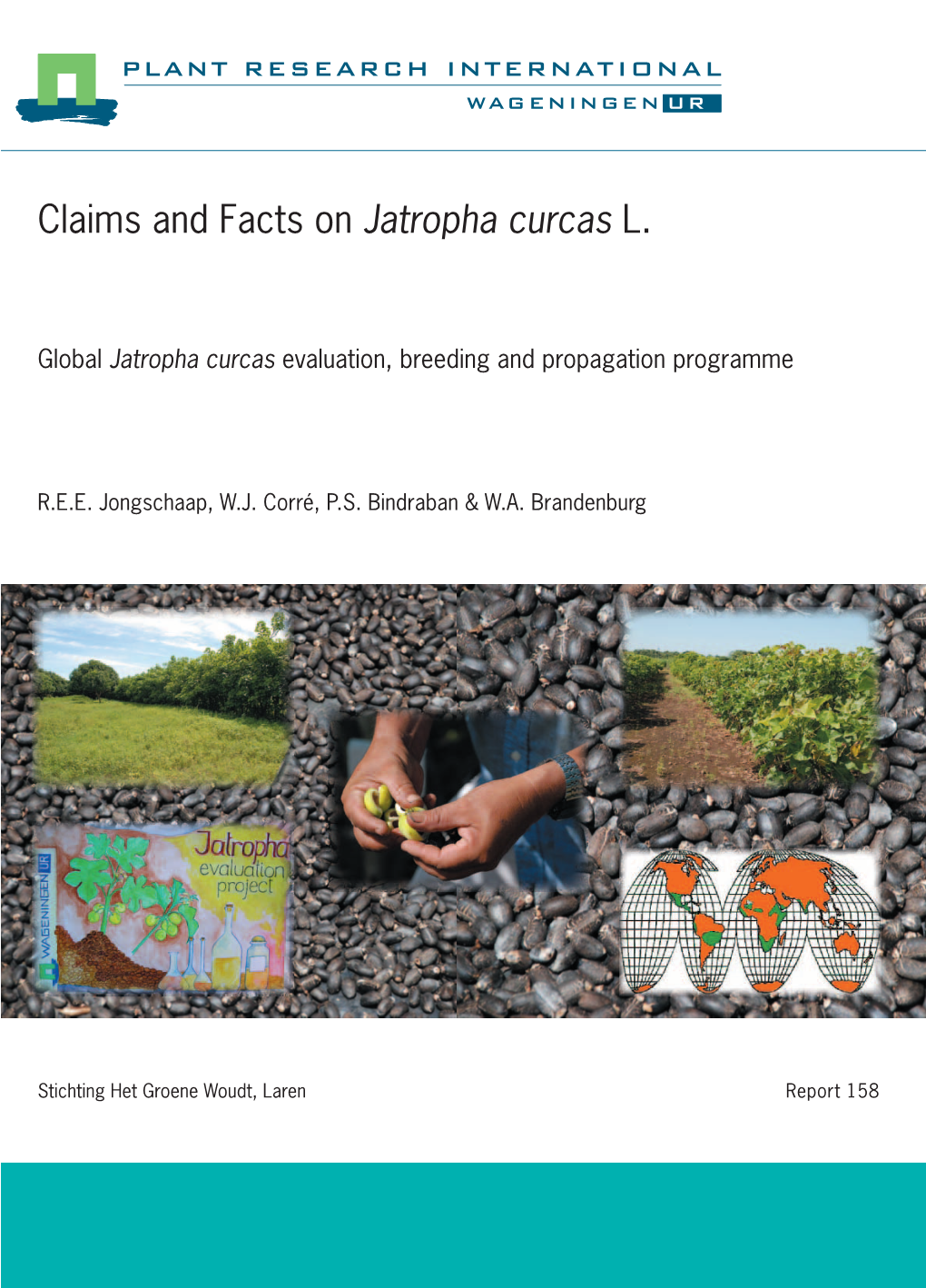 Claims and Facts on Jatropha Curcas L