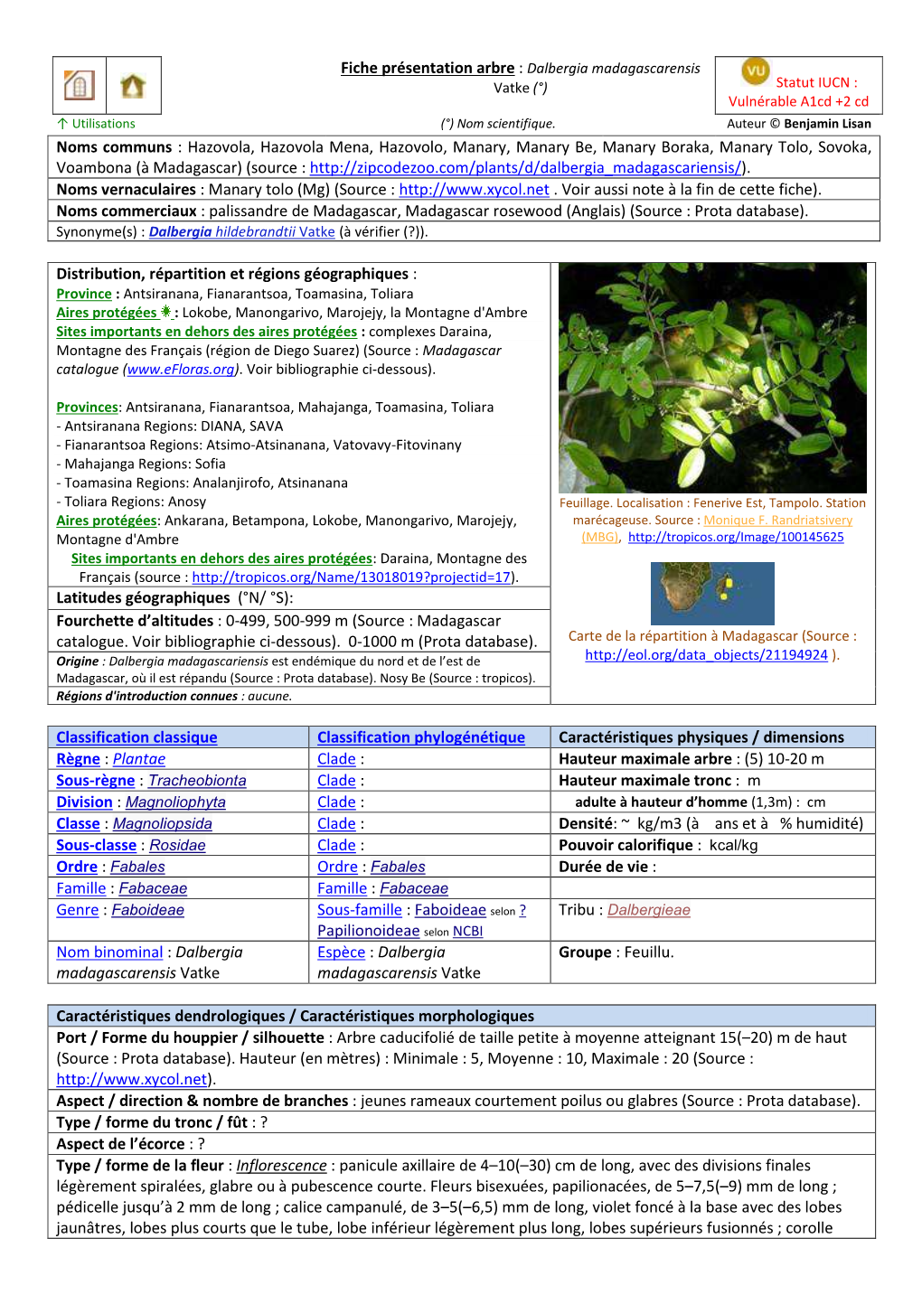 Fiche Présentation Arbre : Dalbergia Madagascarensis Noms Communs