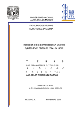 Inducción De La Germinación in Vitro De Epidendrum Radicans Pav. Ex Lindl T E S I