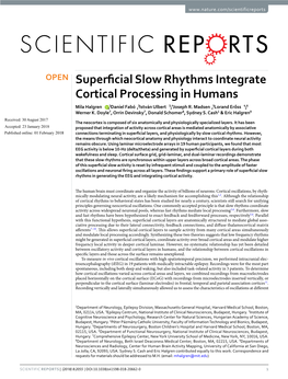 Superficial Slow Rhythms Integrate Cortical Processing in Humans