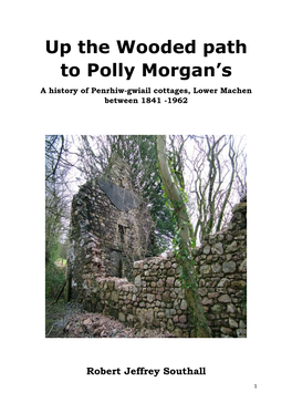 Polly Morgan's