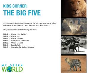 The Big Five in Africa