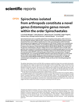 Spirochetes Isolated from Arthropods Constitute a Novel Genus Entomospira Genus Novum Within the Order Spirochaetales