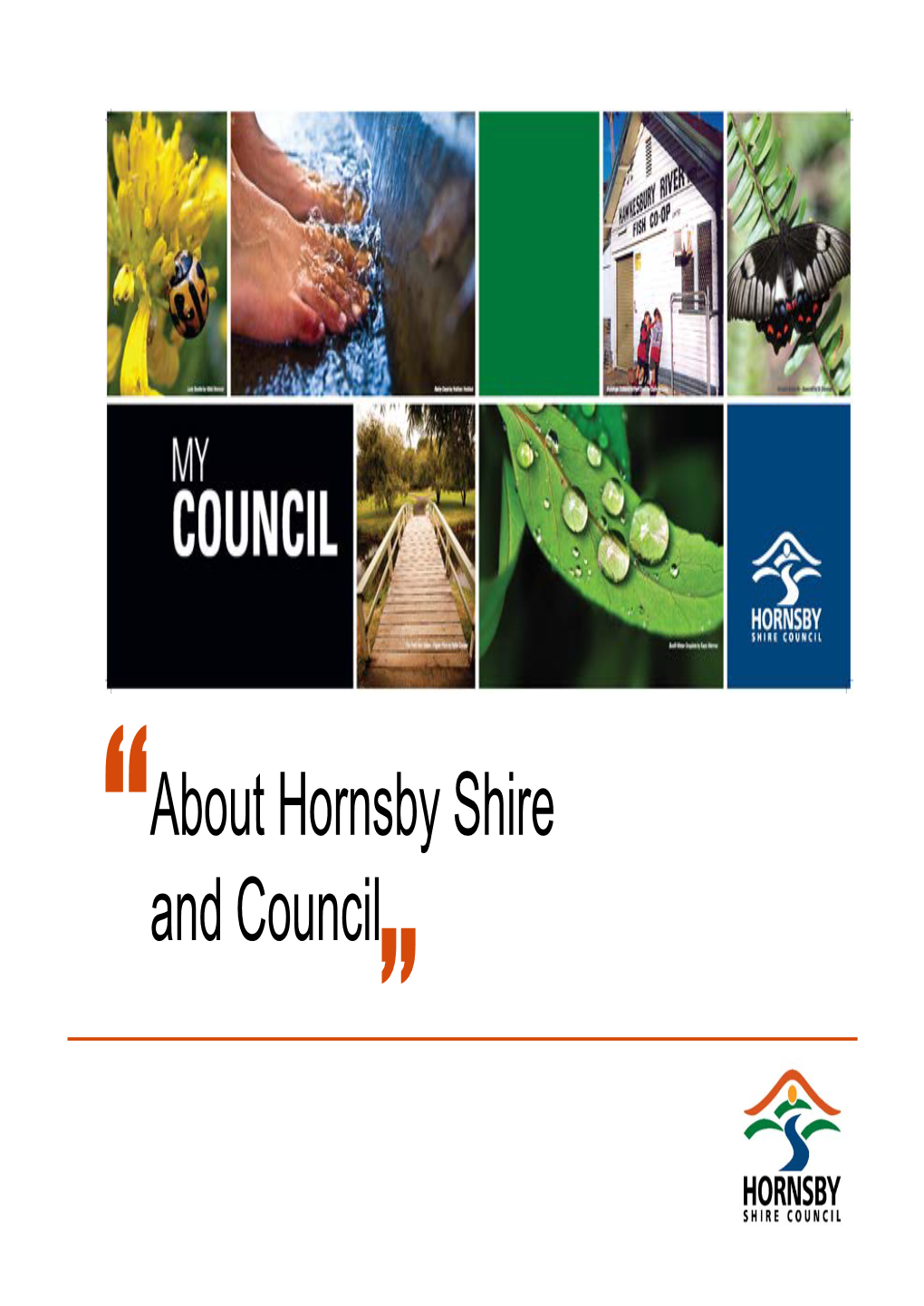 About Hornsby Shire and Council