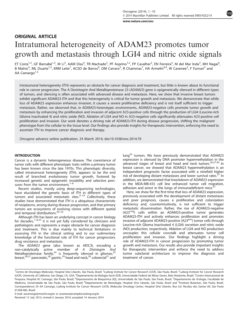 Intratumoral Heterogeneity of ADAM23 Promotes Tumor Growth and Metastasis Through LGI4 and Nitric Oxide Signals