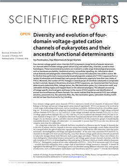 Diversity and Evolution of Four-Domain Voltage-Gated Cation Channels Of