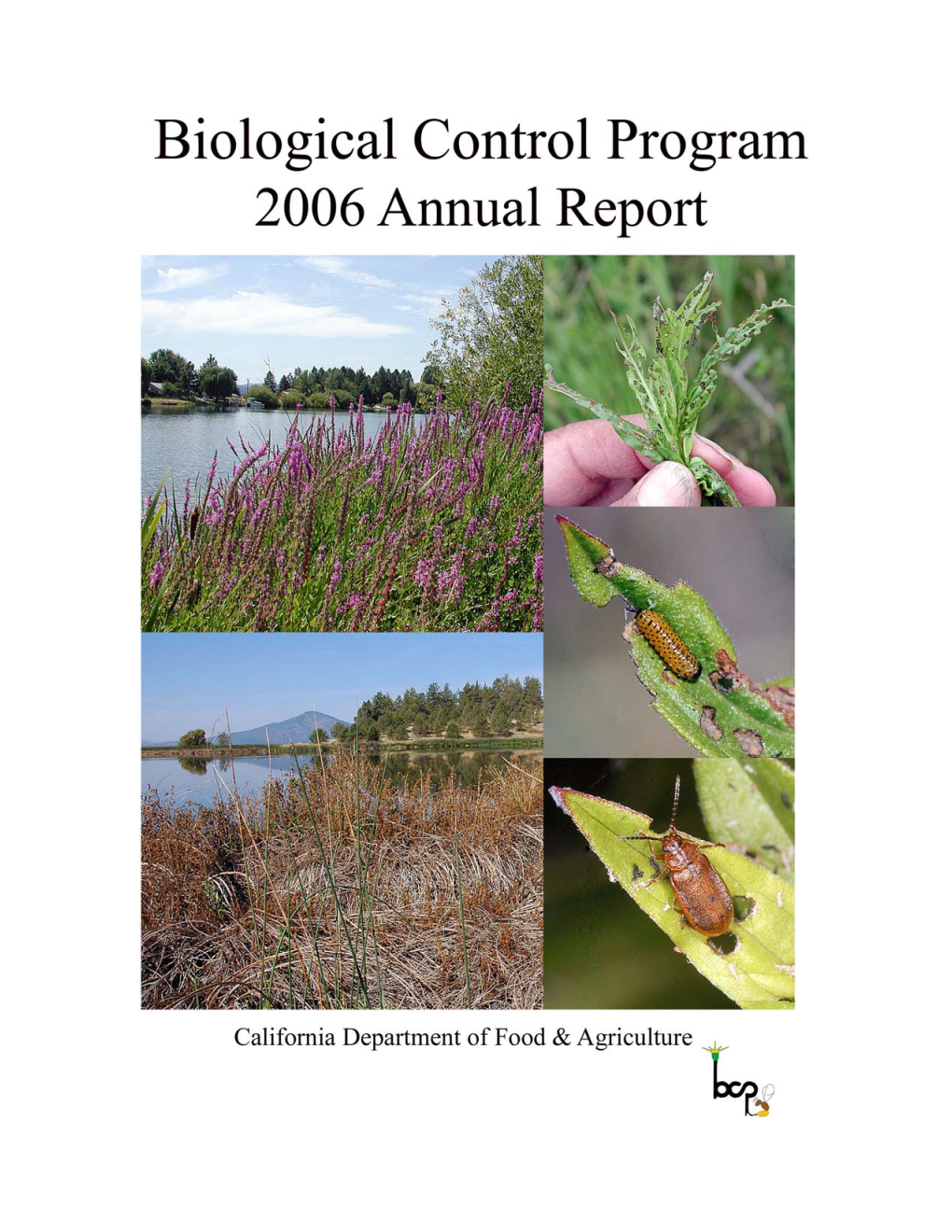 Biological Control Program 2006 Summary