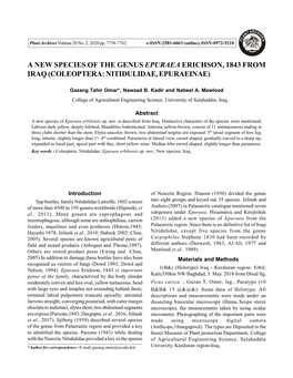 A New Species of the Genus Epuraea Erichson, 1843 from Iraq (Coleoptera: Nitidulidae,Epuraeinae)