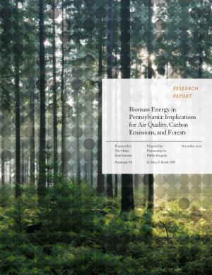 Biomass Energy in Pennsylvania: Implications for Air Quality, Carbon Emissions, and Forests