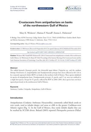 Crustaceans from Antipatharians on Banks of the Northwestern Gulf of Mexico