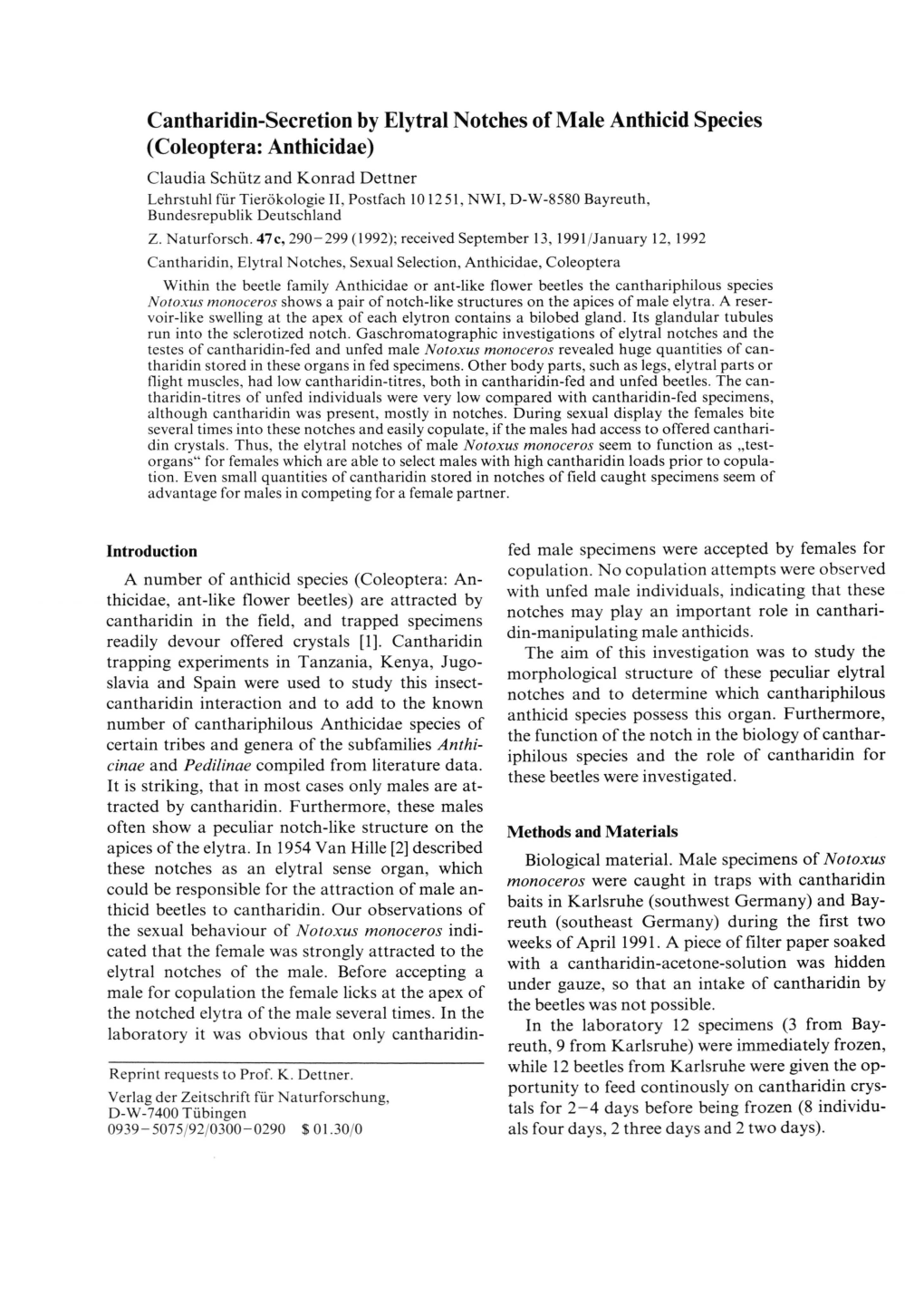 Cantharidin-Secretion by Elytral Notches of Male Anthicid Species