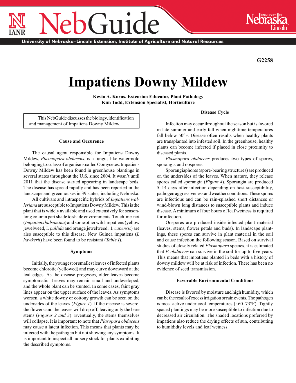 Impatiens Downy Mildew Kevin A