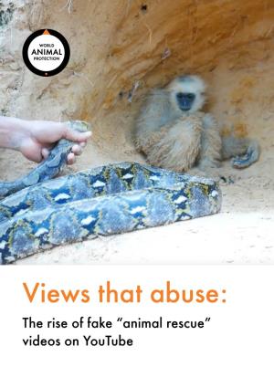 Views That Abuse: the Rise of Fake “Animal Rescue” Videos on Youtube Views That Abuse: the Rise of Fake “Animal Contents Rescue” Videos on Youtube