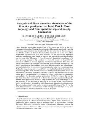 Analysis and Direct Numerical Simulation of the Flow at a Gravity