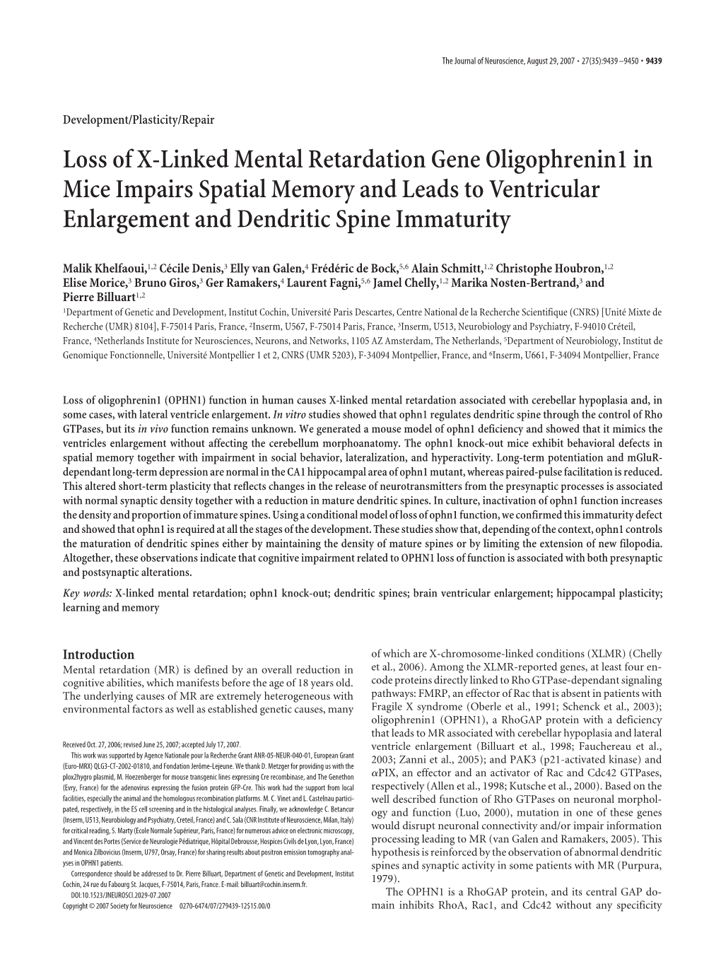 Loss of X-Linked Mental Retardation Gene Oligophrenin1 in Mice Impairs Spatial Memory and Leads to Ventricular Enlargement and Dendritic Spine Immaturity