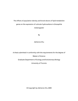 The Effects of Population Density and Knock-Downs of Lipid Metabolism Genes on the Expression of Cuticular Hydrocarbons in Droso