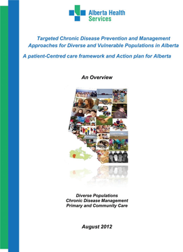 CDM Provincial Framework for Diverse and Vulnerable