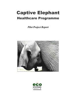 Captive Elephant Healthcare Programme