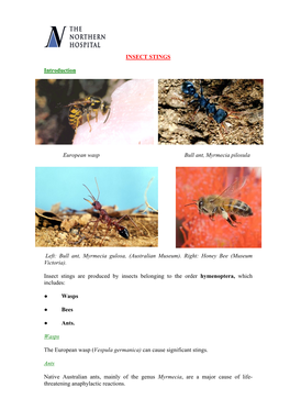 INSECT STINGS Introduction European Wasp Bull Ant, Myrmecia