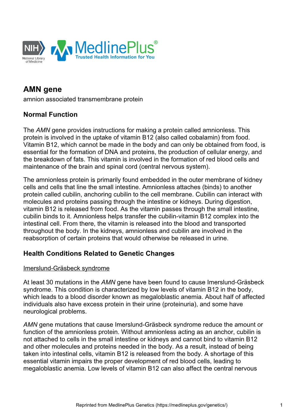 AMN Gene Amnion Associated Transmembrane Protein