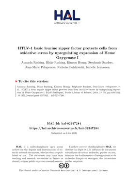 HTLV-1 Basic Leucine Zipper Fa