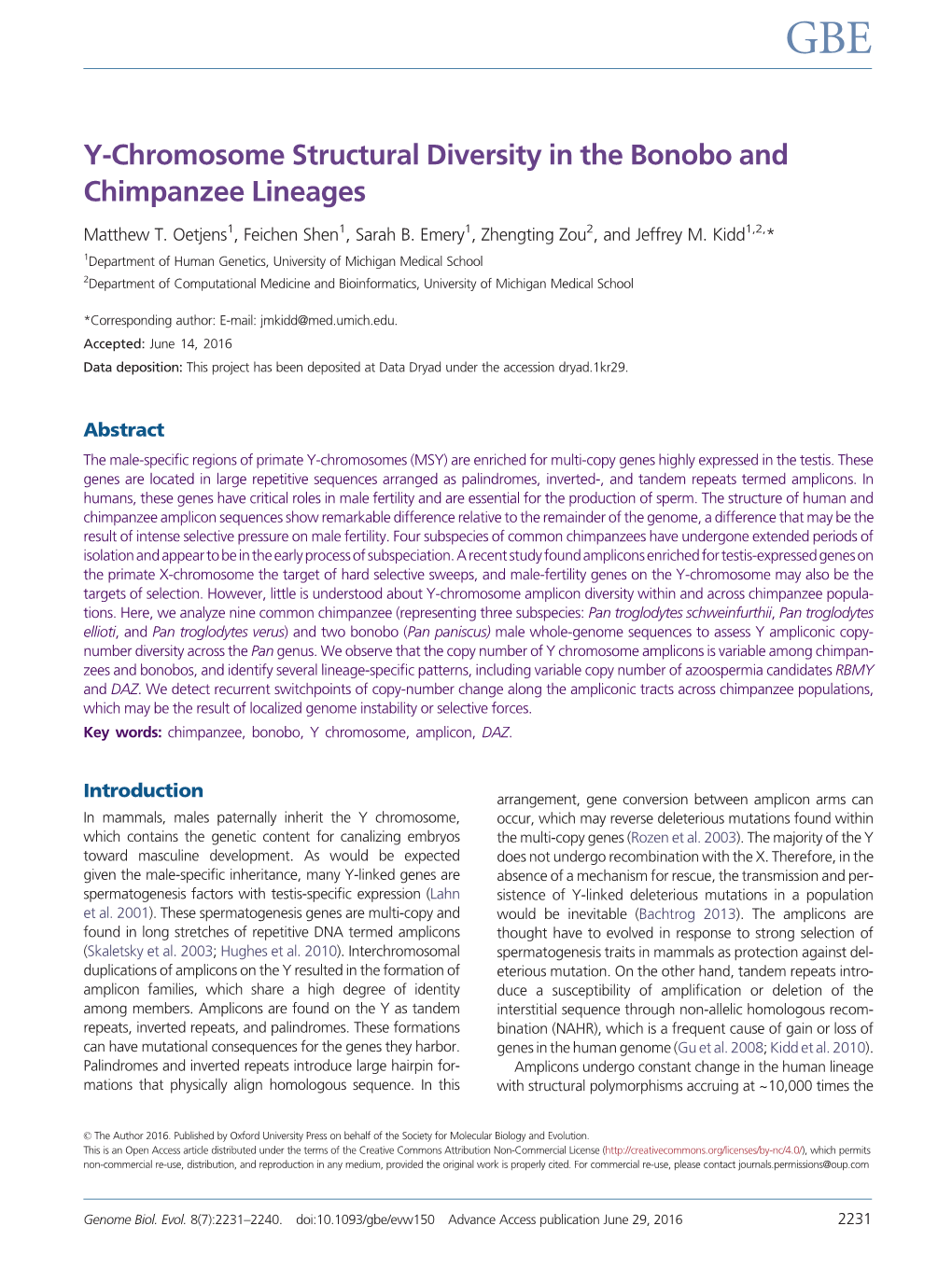 Y-Chromosome Structural Diversity in the Bonobo and Chimpanzee Lineages