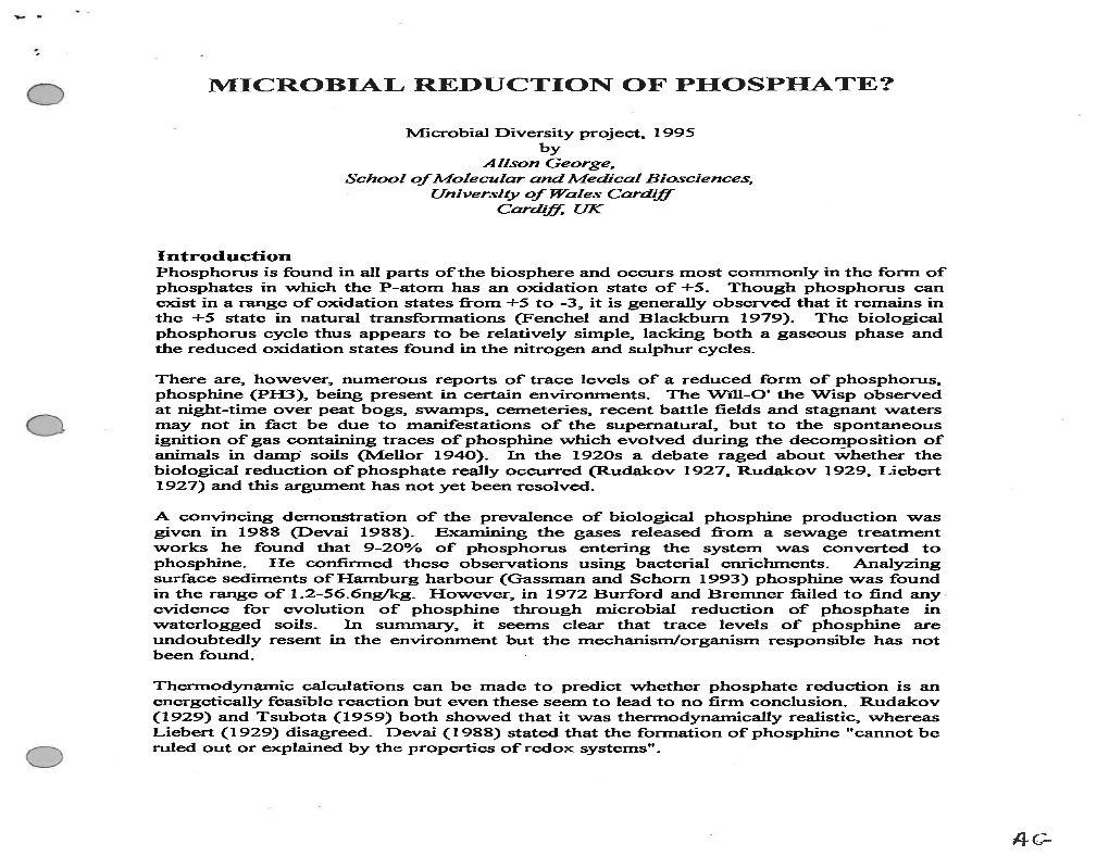 George, A. Microbial Reduction of Phosphate?