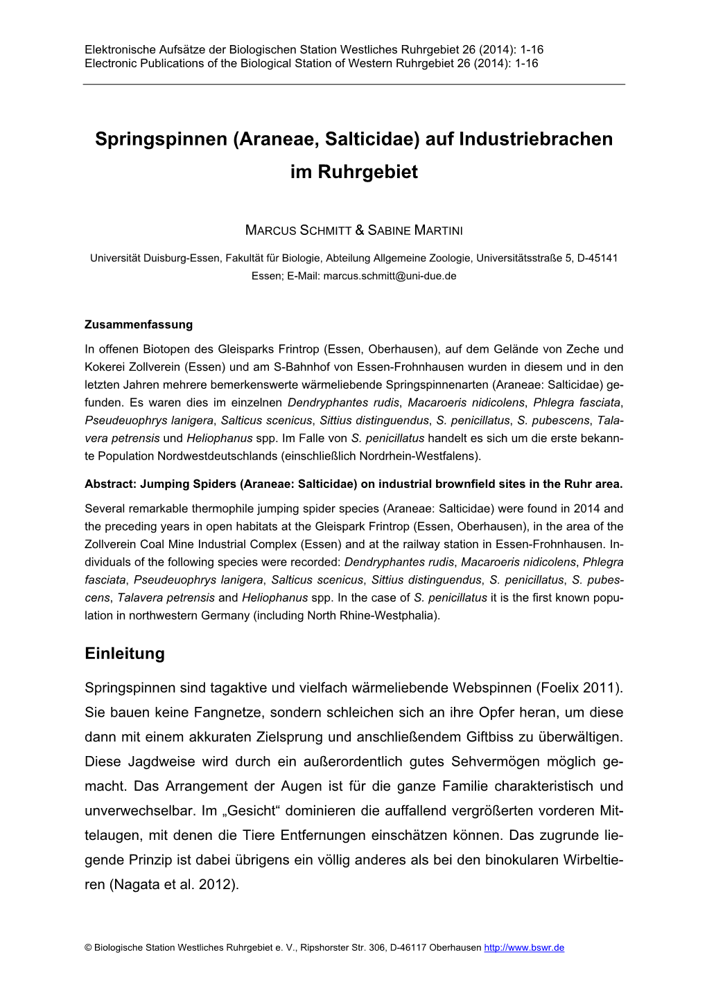 Springspinnen (Araneae, Salticidae) Auf Industriebrachen Im Ruhrgebiet