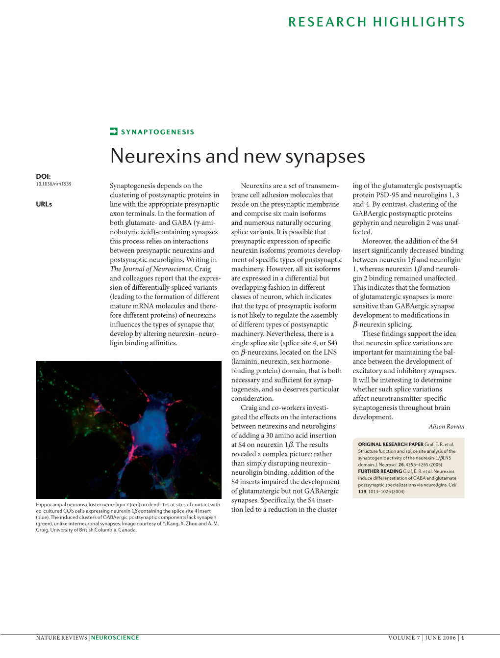 Neurexins and New Synapses