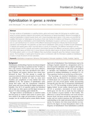 Hybridization in Geese: a Review Jente Ottenburghs1*, Pim Van Hooft1, Sipke E