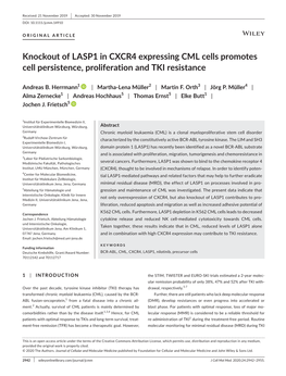 Knockout of LASP1 in CXCR4 Expressing CML Cells Promotes Cell Persistence, Proliferation and TKI Resistance