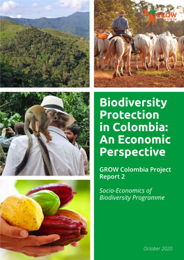 Biodiversity Protection in Colombia: an Economic Perspective