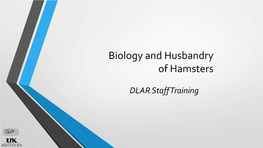 Biology and Husbandry of Hamsters