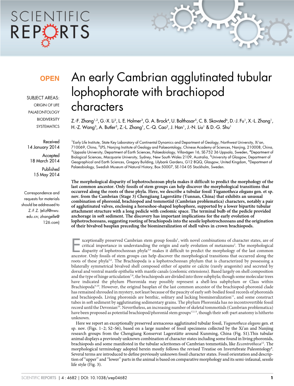 An Early Cambrian Agglutinated Tubular Lophophorate with Brachiopod Characters